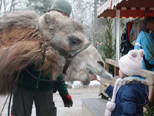 Obdarowywanie zwierząt z Naszego Zoo