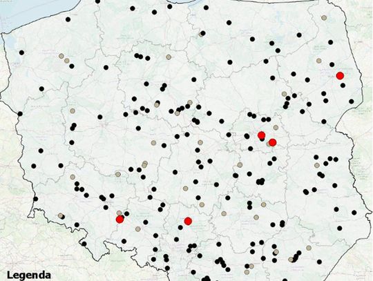 Od początku wakacji 225 wypadków ze skutkiem śmiertelnym