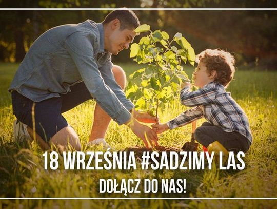 Odbierz sadzonkę i przyłącz się do akcji #sadziMY