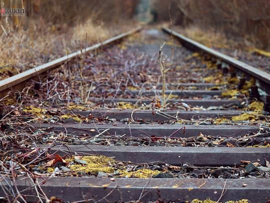 Ogłoszono przetarg na przygotowanie linii kolejowej Gryfów Śląski - Świeradów-Zdrój 