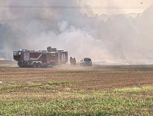 Ogromny pożar ścierniska w Mojeszu. Dym widać aż ze Świeradowa-Zdroju