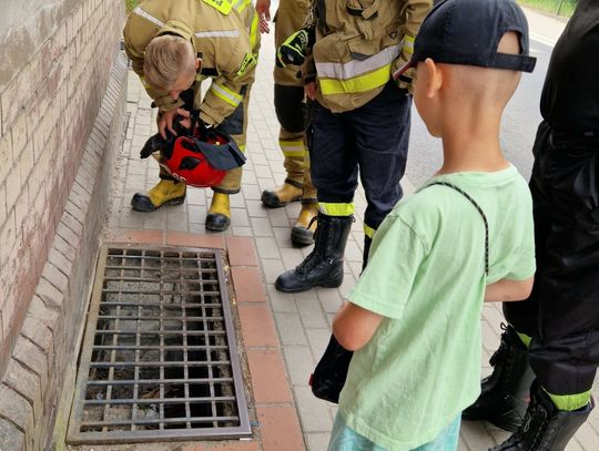 Lubań. Ośmiolatek i strażacy uratowali zwierzę przed śmiercią