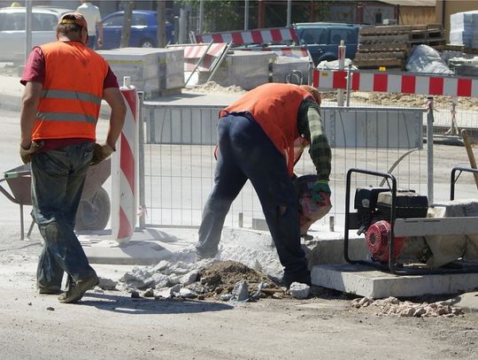 Otyły jak dyrektor, samotny jak informatyk albo doradca