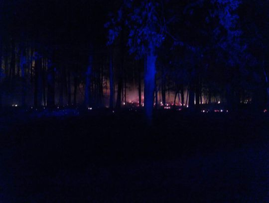 Piątkowy pożar lasu w Zapuście