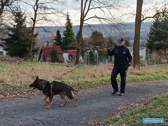 Pies Karmel doprowadził lubańskich policjantów do złodzieja