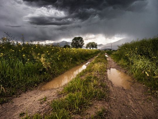 Pisarzowice – droga dojazdowa do gruntów rolnych