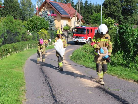 Plama oleju na drodze. Interweniowali strażacy