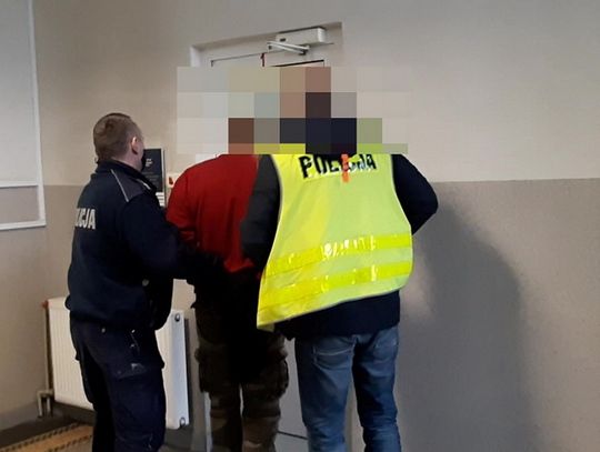 Plan prawie idealny