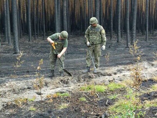 Po pożarze Borów Dolnośląskich muszą interweniować saperzy, pogorzelisko jest niebezpieczne