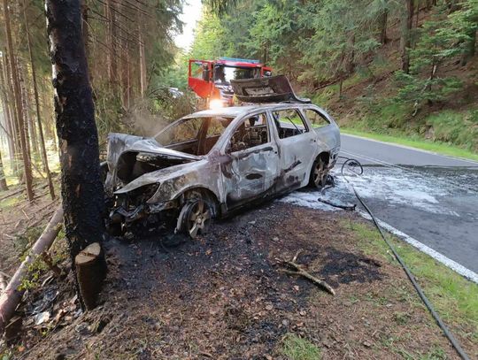 Po tym jak auto zaczęło płonąć, kierowca uderzył w drzewo