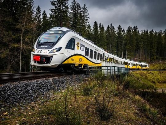 Pociąg uderzył w drzewo. Utrudnienia na trasie Rębiszów – Jelenia Góra