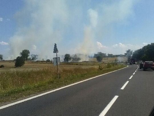 Podpalenie pól koło Henrykowa