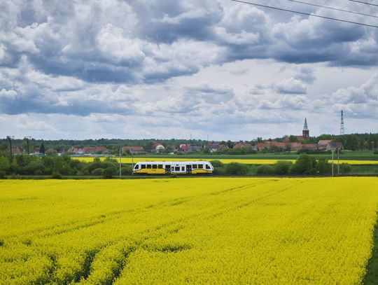 Podróże przez 5 dni na Dolnym Śląsku na jednym bilecie za 59 zł i wycieczka nad morze