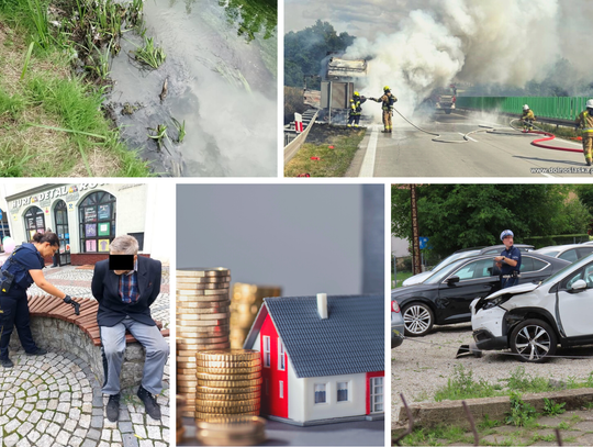 Podsumowanie tygodnia. Siekierka, seria stłuczek, filmowa zima i biały cud w lesie