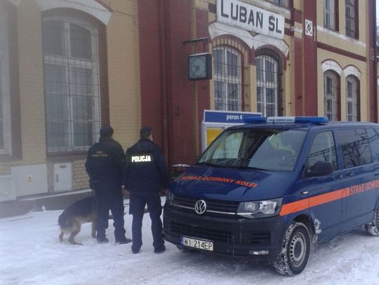 Policja i SOK skontrolowali punkty skupu złomu