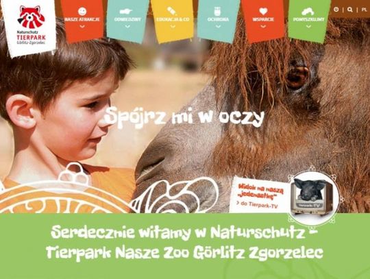 Pomyszkujmy na nasze-zoo.pl!
