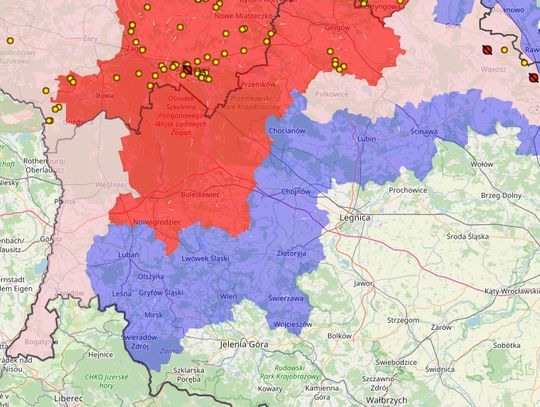 Powiat lubański w strefie zagrożonej ASF