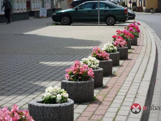 Powstrzymał wandali przed dewastacją teraz sam zapłaci mandat?