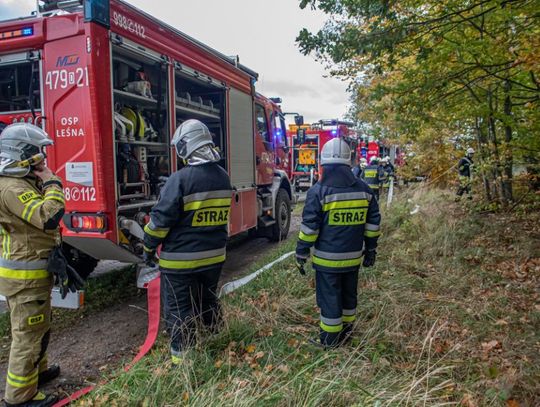 Pożar lasu i transgraniczne ćwiczenia strażaków