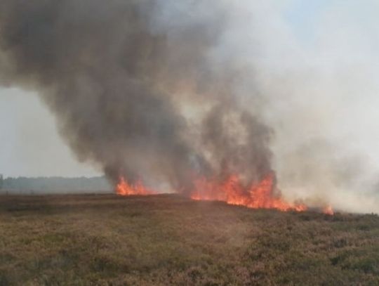 Pożar poligonów w Świętoszowie