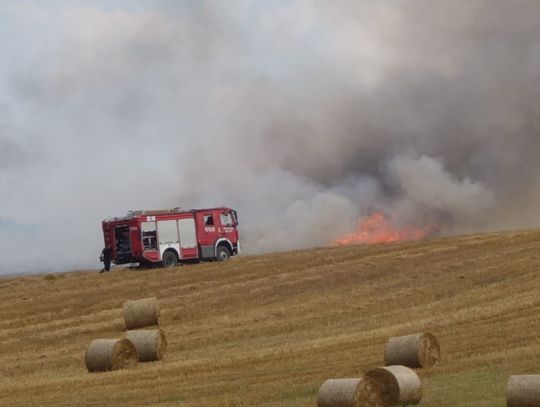 Pożar ścierniska w Nawojowie Śląskim