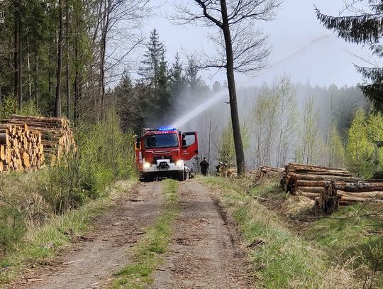 Wielki Lubański Las pierwszy pożar w tym roku