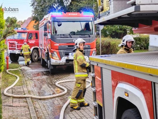 Pożar w pustostanie zajmowanym i rozkradanym przez bezdomnych