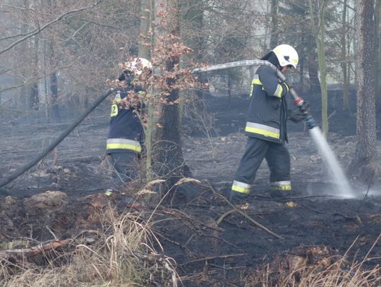 Pożar został opanowany, trwa dogaszanie