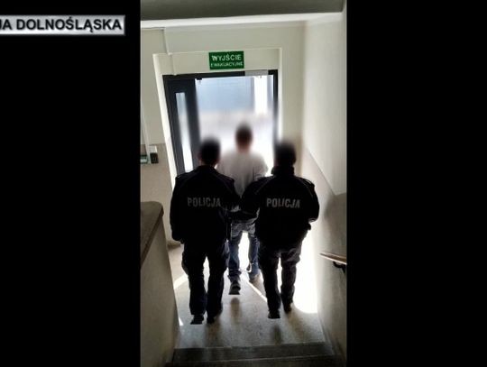 Przemocą ukradł auto. Wpadł w rowie w Gryfowie