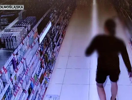 Przychodził do Polski, by kraść. Wpadł po przekroczeniu granicy