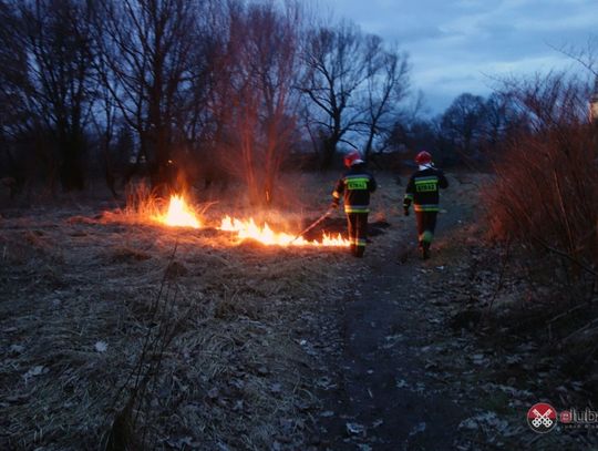 Ruszył sezon wypalania traw