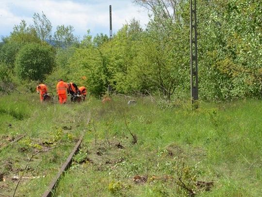 Ruszyły pierwsze prace przy rewitalizacji linii kolejowej Gryfów-Mirsk-Świeradów-Zdrój