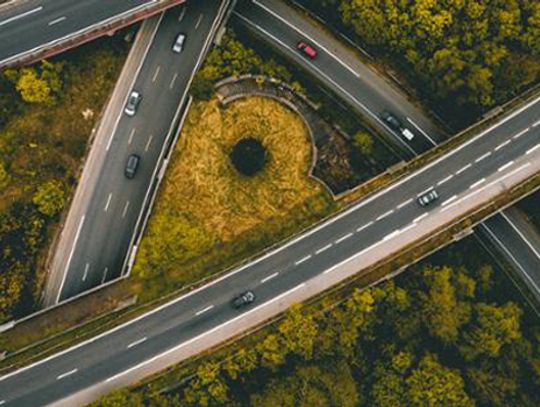 Rząd wprowadził ograniczenia w przemieszczaniu się 