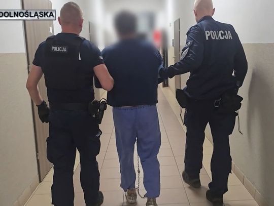 Rzucił nożem w ciężarną partnerkę. Mężczyzna trafił do aresztu