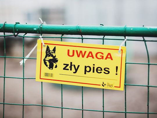 Są wyniki sekcji zwłok 64-latka pogryzionego przez psy