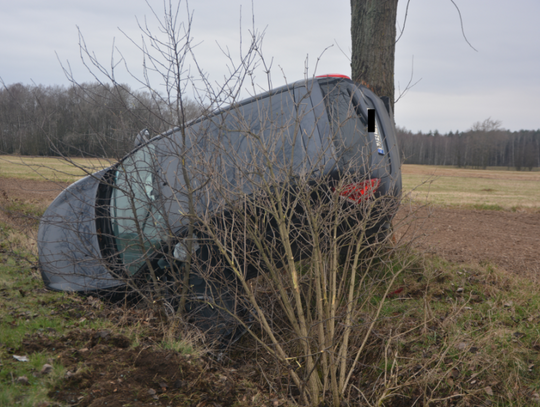 Samochód wylądował na drzewie