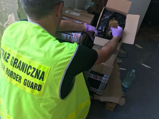 Skuteczne polsko-czeskie uderzenie w mafię tytoniową