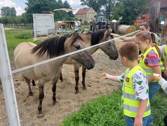 SMACZNIE, ZDROWO, TRADYCYJNIE- o jedzeniu trochę inaczej