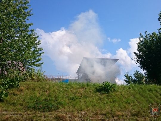 Spalanie bioodpadów, czyli jesienne porządki