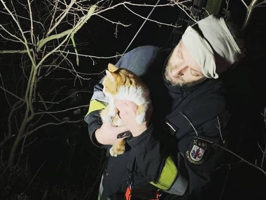 Strażacy uratowali rudego kota