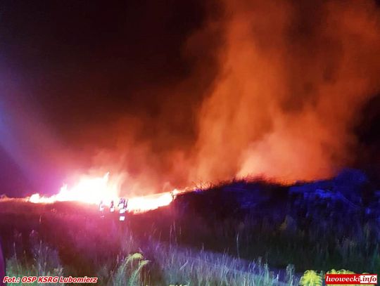 Strażacy walczą z ogromnym pożarem