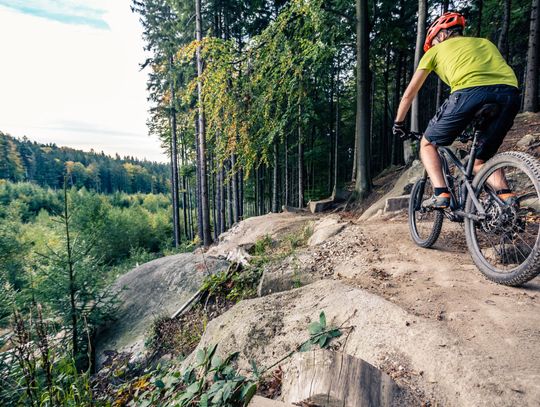 Świeradów-Zdrój odnawia rowerowe hity. Ponad 43 km tras singletrack do remontu