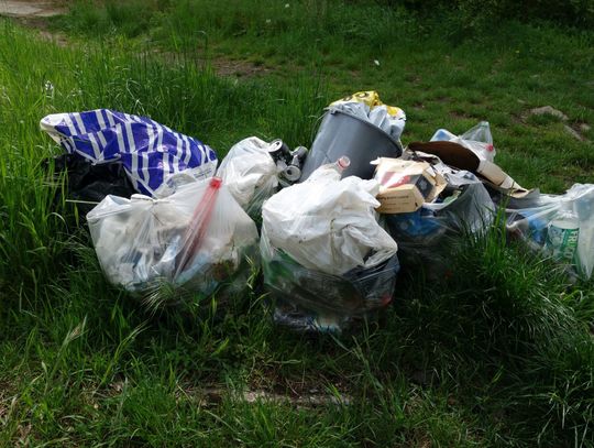 Syfiarze nie mają litości