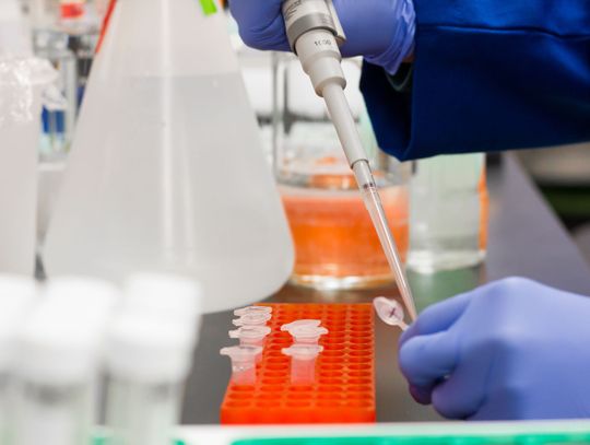 Sytuacja epidemiologiczna w powiecie lubańskim (godz. 9:00, 13 marca)