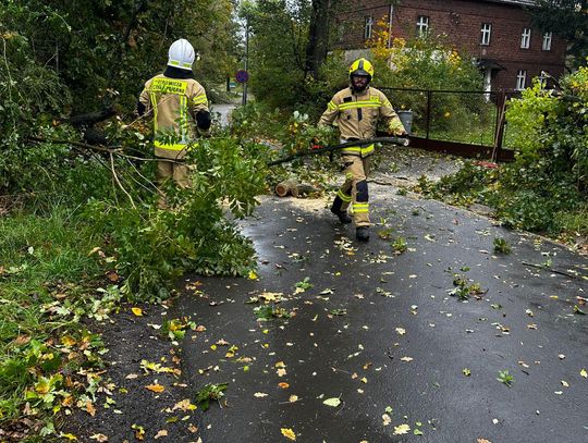 Szkwał narobił szkód w regionie. Strażacy interweniowali kilkanaście razy