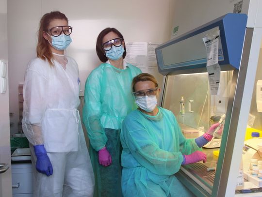 Tak pracuje laboratorium wykrywające koronawirusa