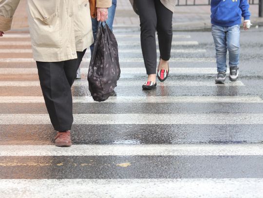 Trwa akcja policji "Pieszy kontra pojazd"