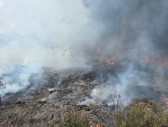 Trzebień. Obok spalonego auta znaleziono zwłoki kobiety