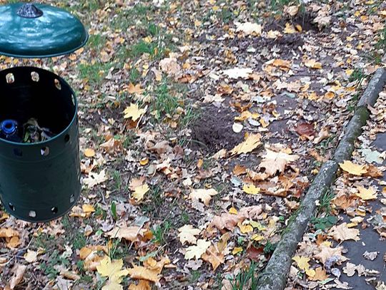 Ukradli ławki z parku na Kamiennej Górze