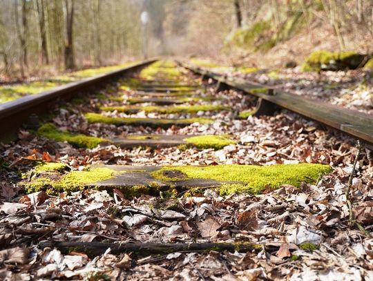 UMWD przejmuje kolejne linie. Zapominano o linii Lwówek Śl.- Jelenia Góra?